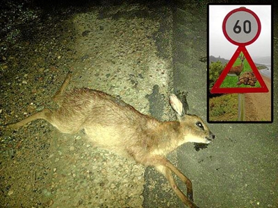 Wees op uitkyk vir bokkies